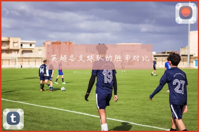 英超各支球队的胜率对比