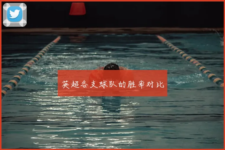 英超各支球队的胜率对比