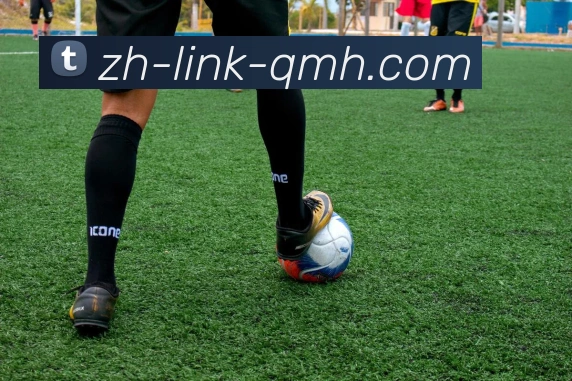 多媒体互动体验